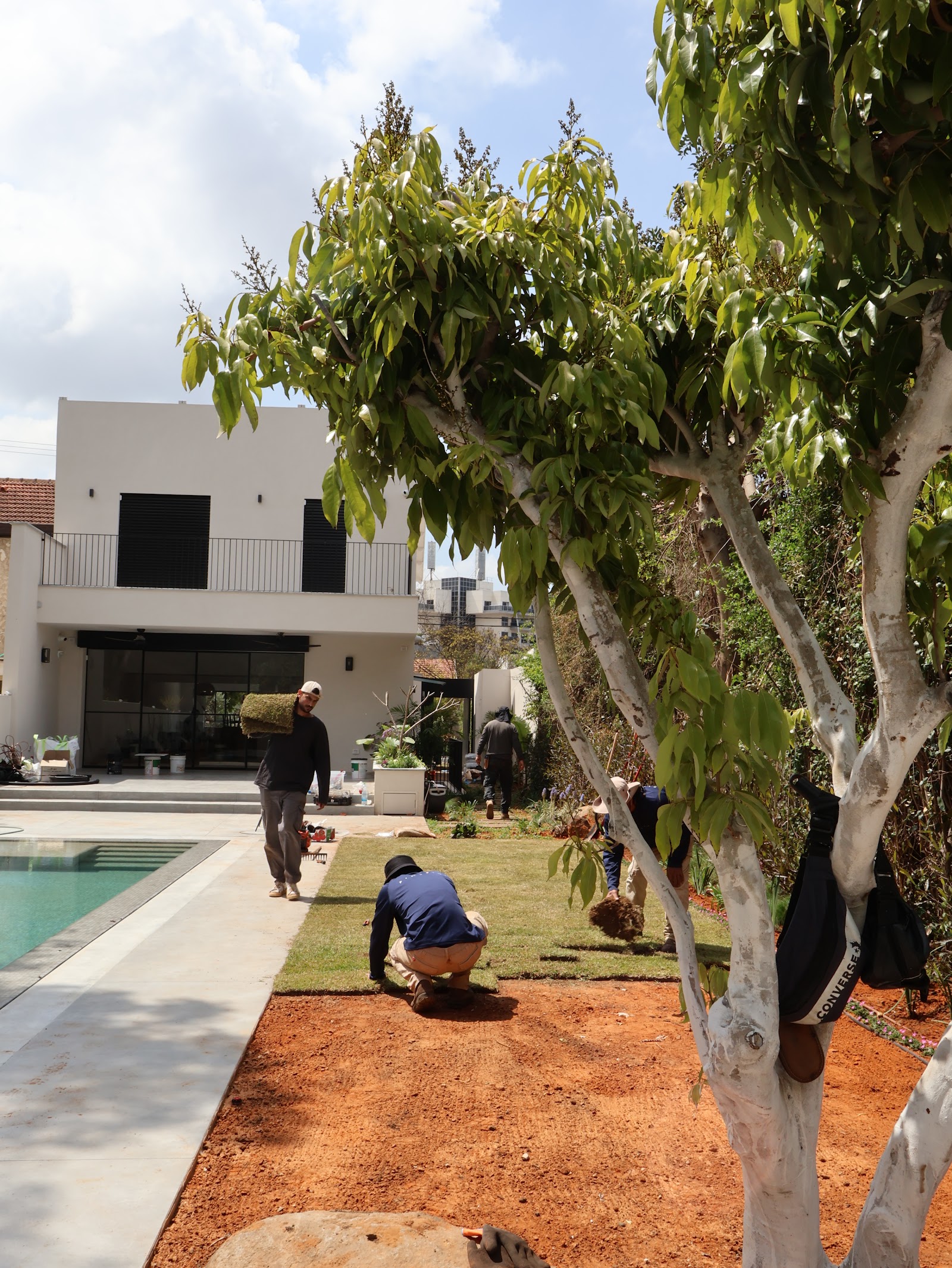 Low of Nature, sculpted trees along the pool